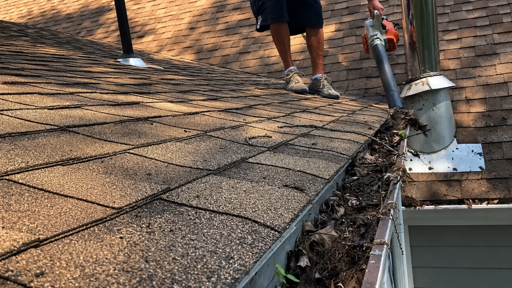 Gutter packed with eucalyptus debris before cleaning - Mission Canyon Santa Barbara